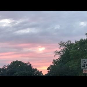 Meet your Posher, Maxine